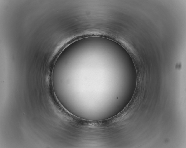 X0000090700064200707200938
