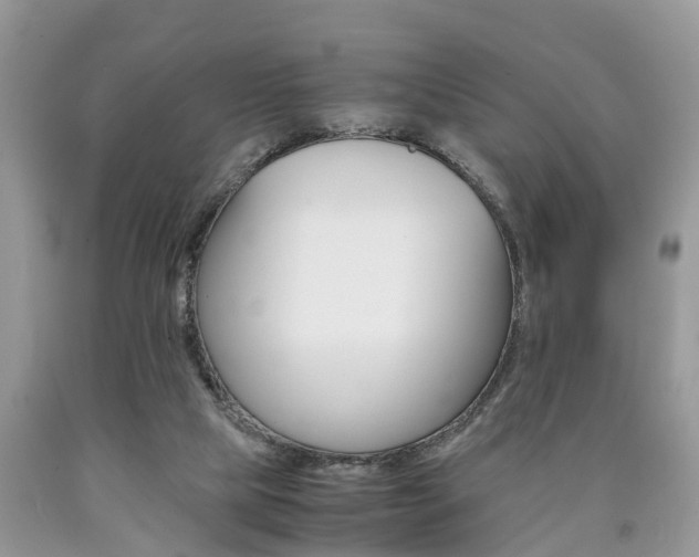 X0000090700065200707200938