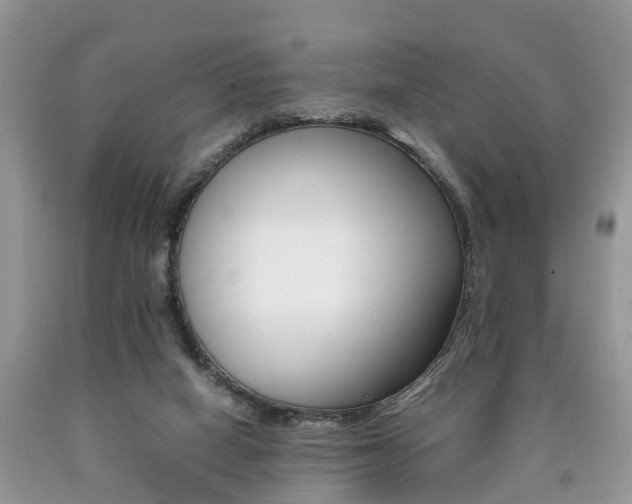 X0000090700066200707200938