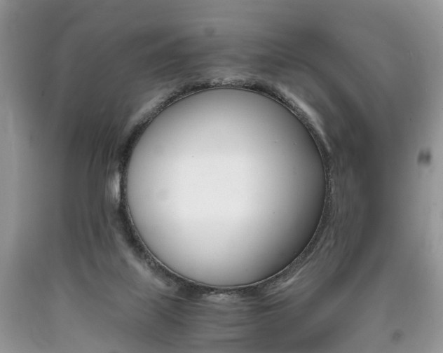 X0000090700067200707200938