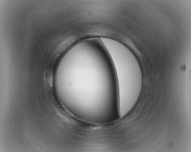 X0000090700068200707200938