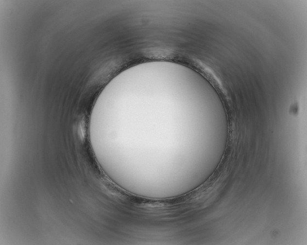 X0000090700069200707200938