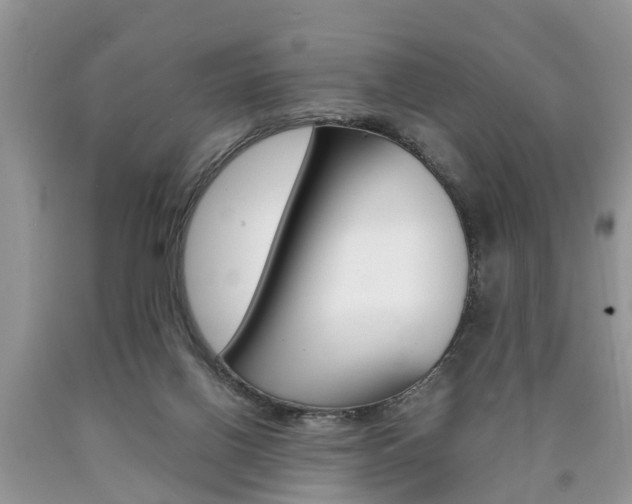 X0000090700070200707200938