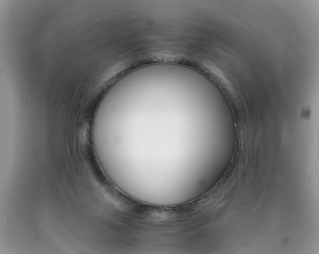 X0000090700071200707200938