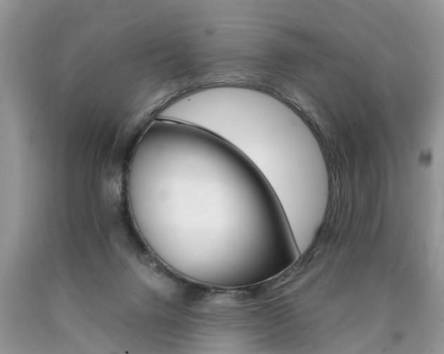 X0000090700072200707200938