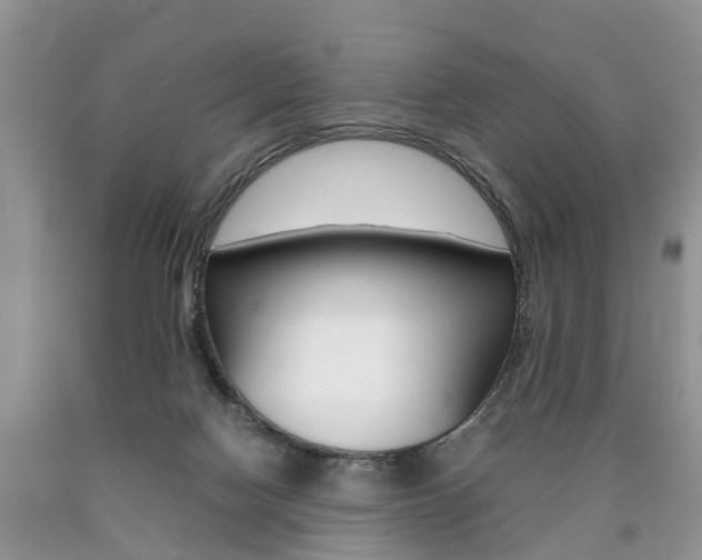 X0000090700074200707200938