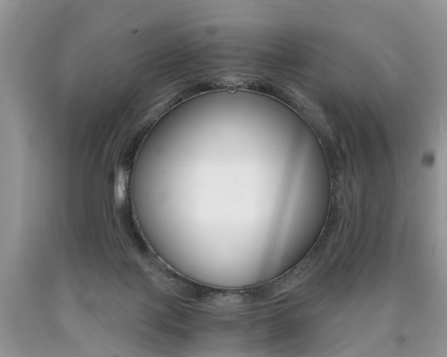 X0000090700075200707200938