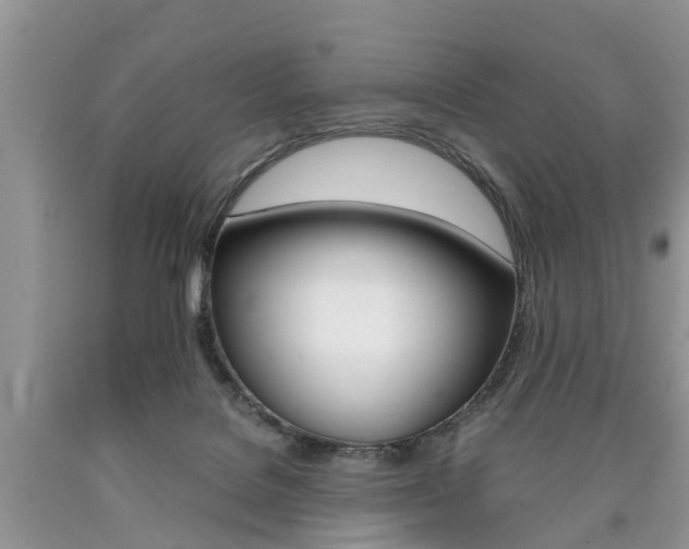 X0000090700076200707200938