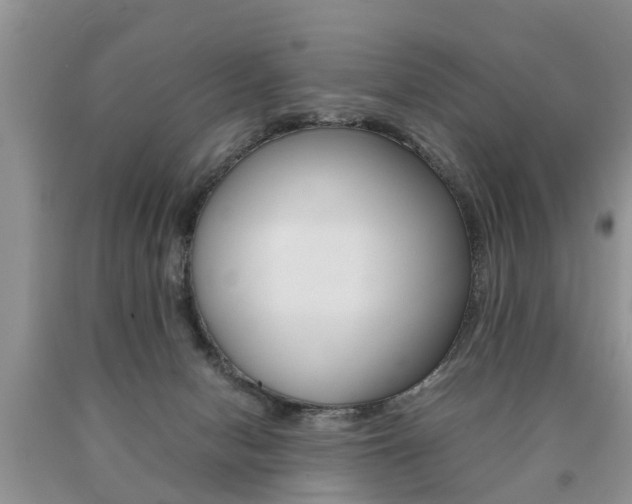 X0000090700078200707200938