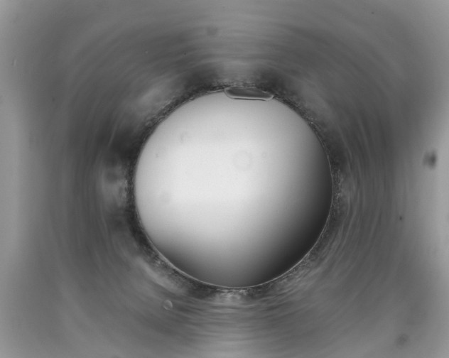 X0000090700080200707200938