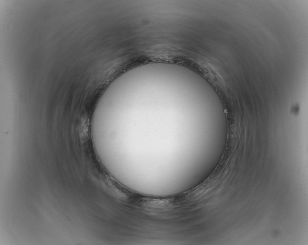 X0000090700081200707200938