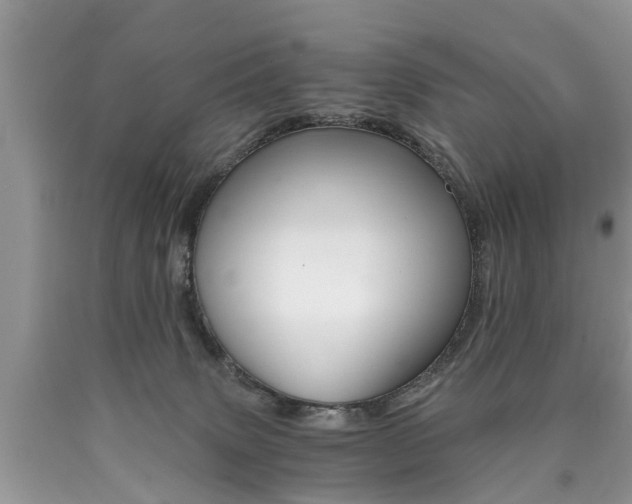 X0000090700083200707200938