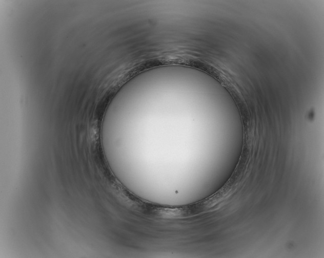 X0000090700085200707200938