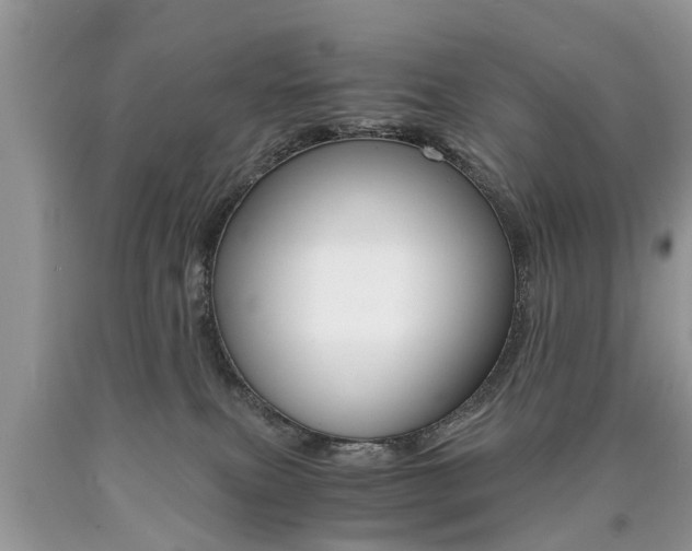 X0000090700087200707200938