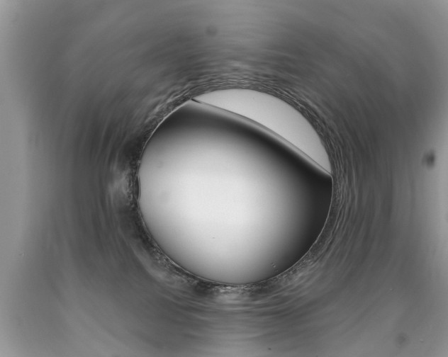 X0000090700088200707200938