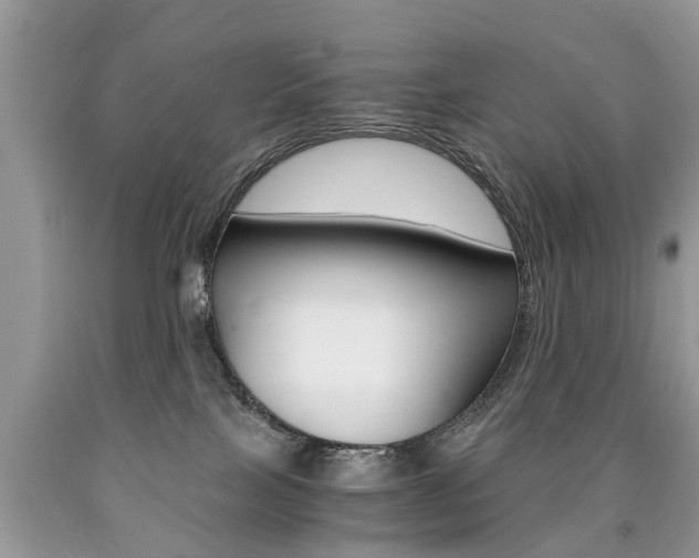 X0000090700089200707200938
