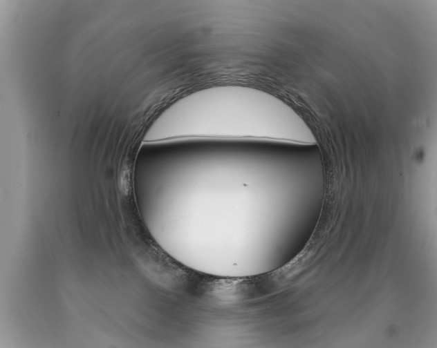 X0000090700090200707200938