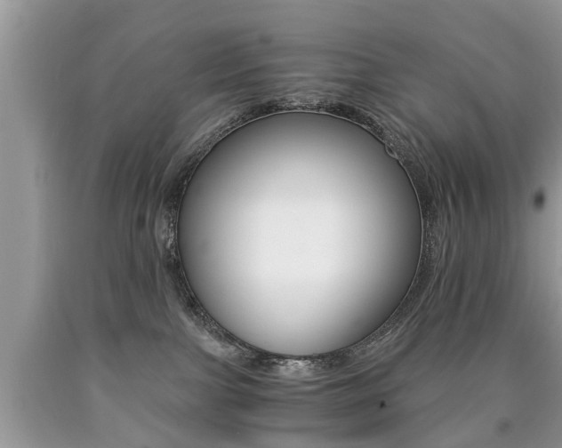 X0000090700091200707200938
