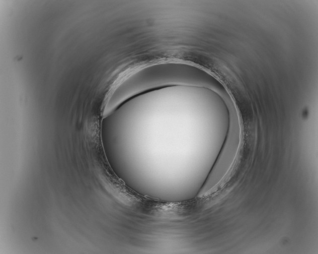 X0000090700092200707200938