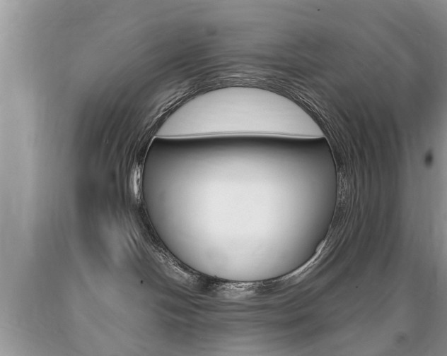 X0000090700094200707200938
