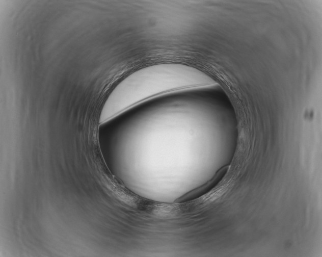 X0000090700096200707200938
