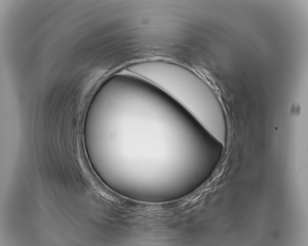 X0000090700097200707200938