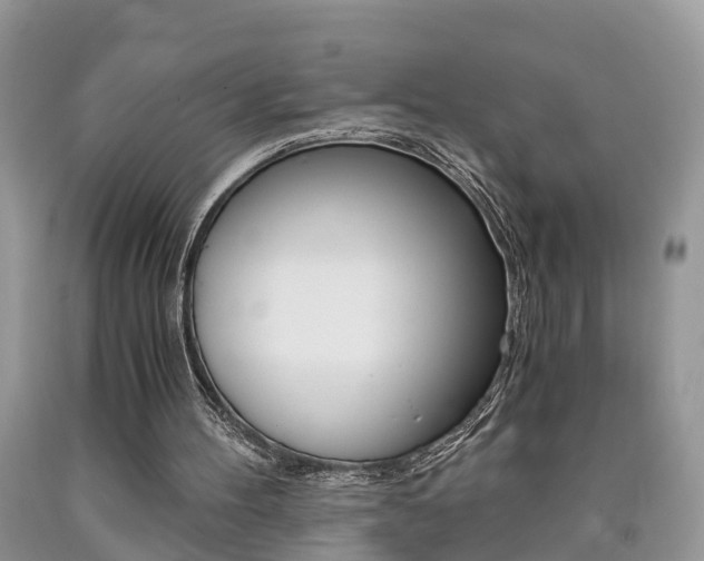 X0000090700100200707200937