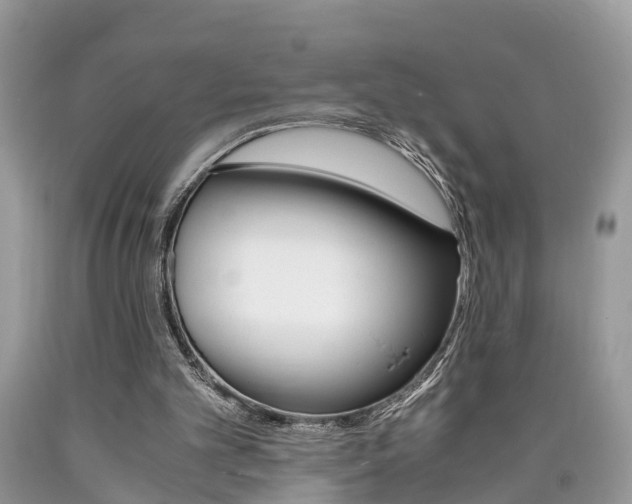 X0000090700101200707200937