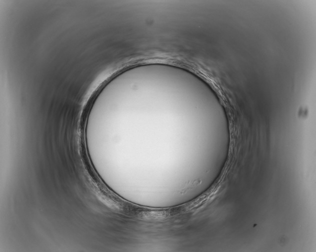 X0000090700102200707200937