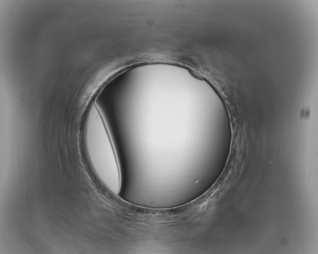 X0000090700103200707200937