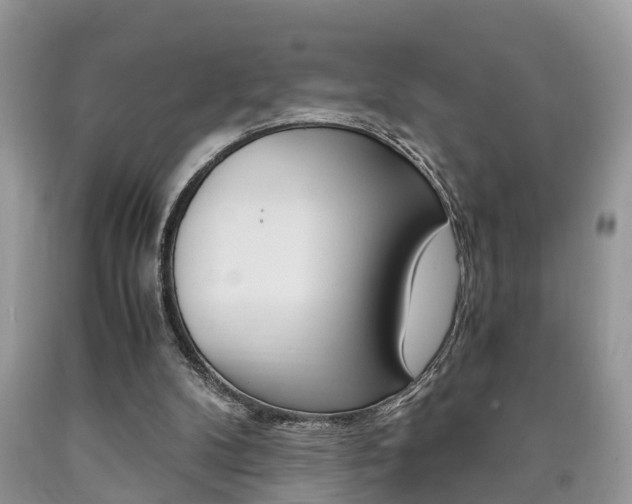 X0000090700104200707200937