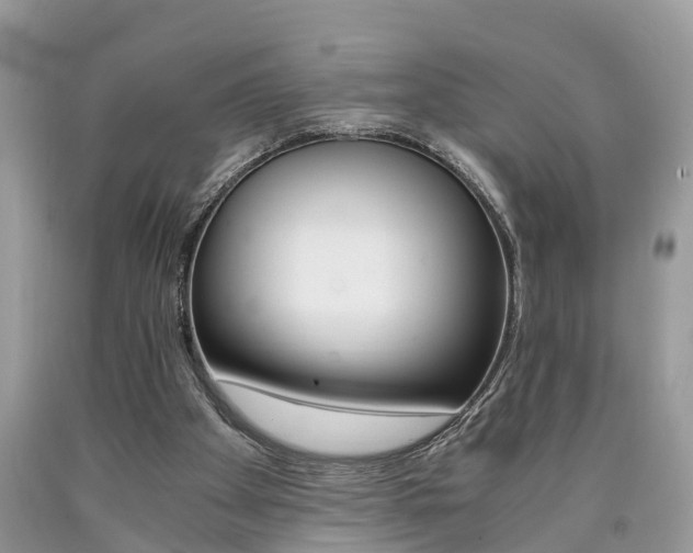 X0000090700105200707200937