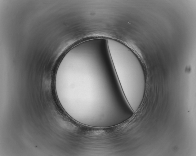 X0000090700108200707200937