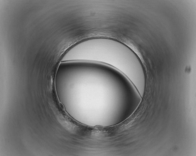 X0000090700109200707200937