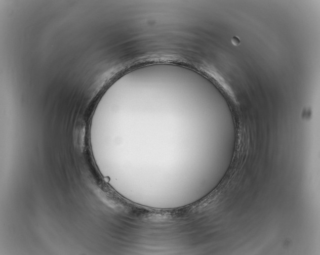 X0000090700110200707200937