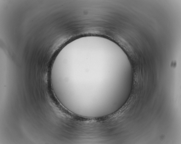 X0000090700112200707200937