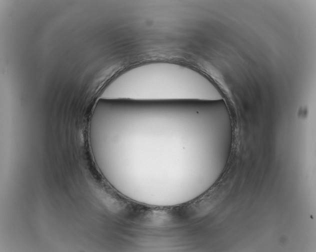 X0000090700114200707200937