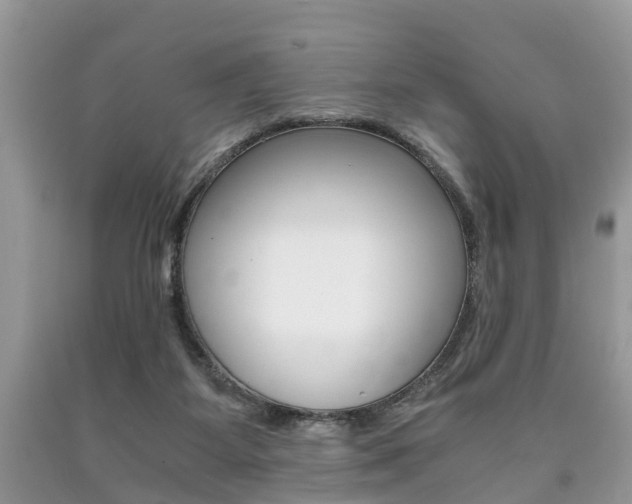 X0000090700115200707200937