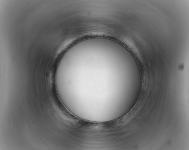 X0000090700116200707200937