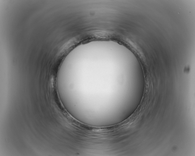 X0000090700117200707200937