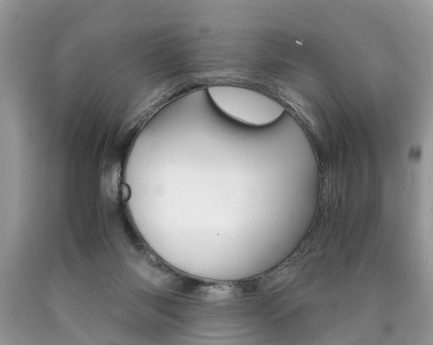 X0000090700118200707200937