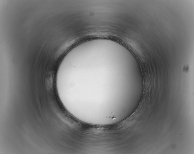 X0000090700120200707200937