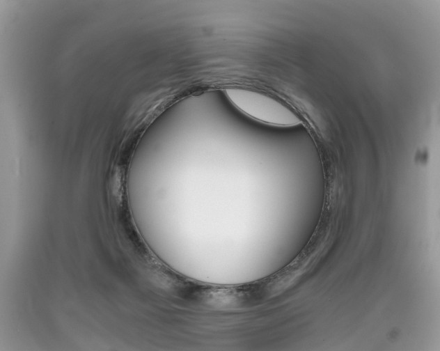 X0000090700121200707200937