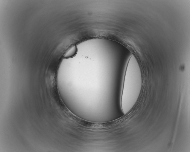 X0000090700123200707200937