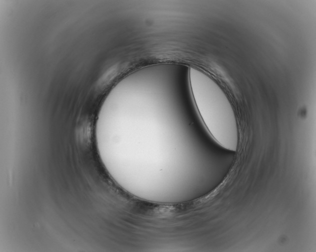 X0000090700124200707200937