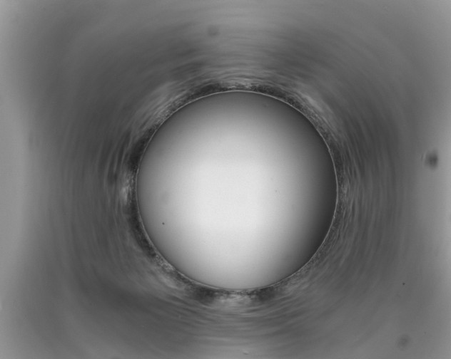 X0000090700125200707200937