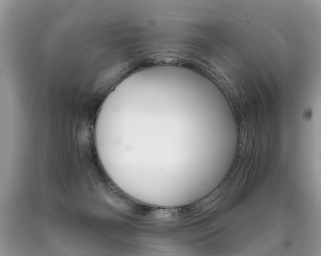 X0000090700126200707200937