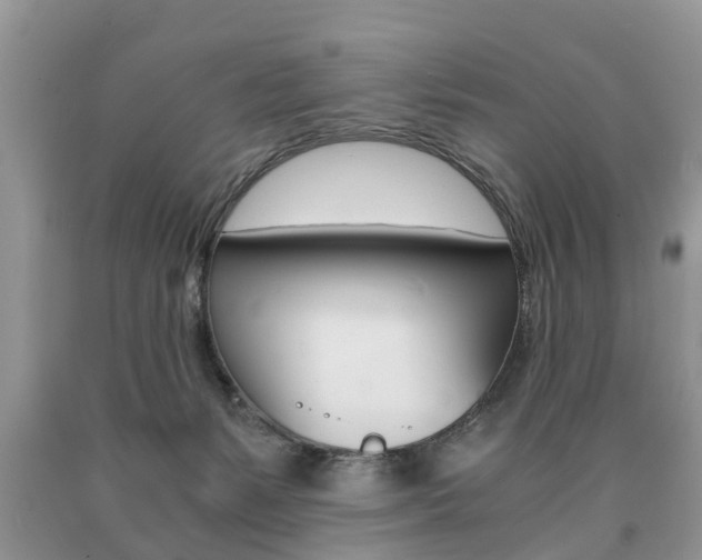 X0000090700127200707200937