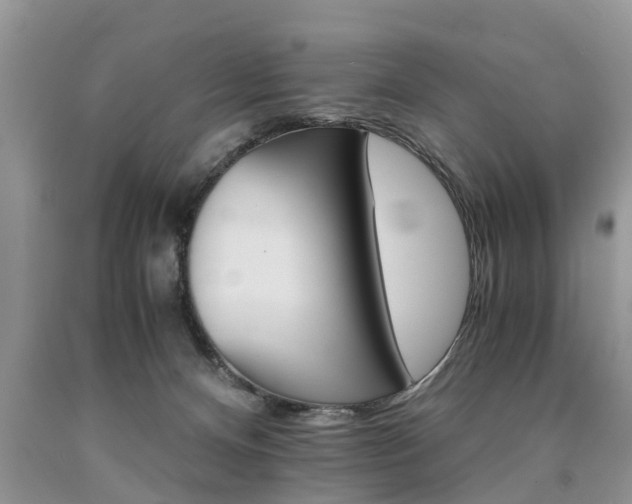 X0000090700128200707200937