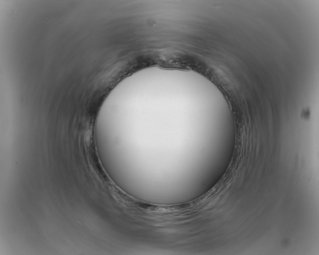 X0000090700129200707200937
